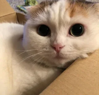 😍