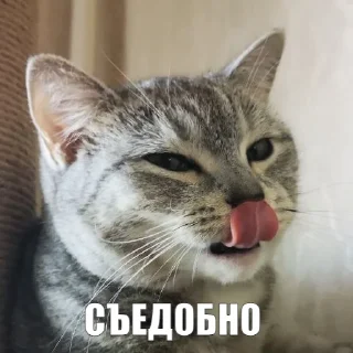 😋