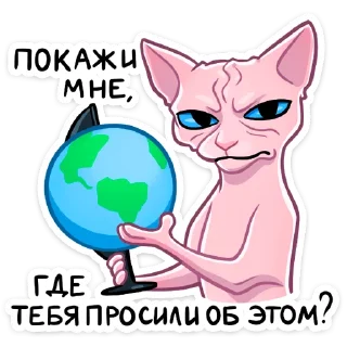 🌎