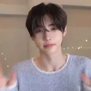🌟