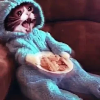🐈