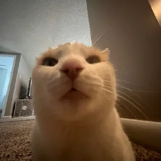 😐