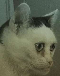 🫤