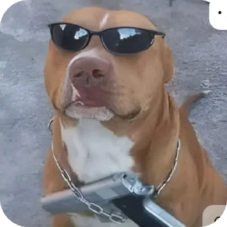 😎