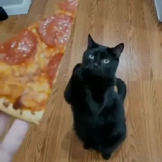 🍕