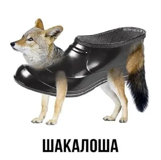 😀