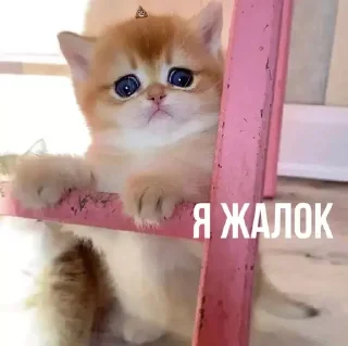 🤏