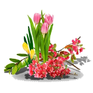 🌷