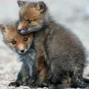 👨‍❤️‍👨