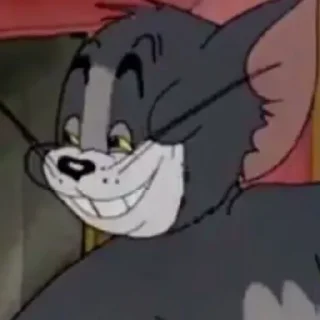 😼