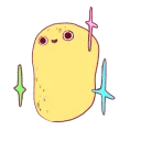 ✨