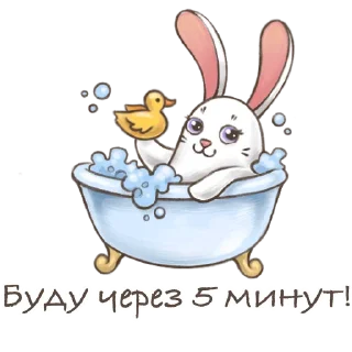 🐰