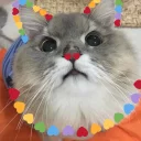 😻
