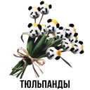 🐼