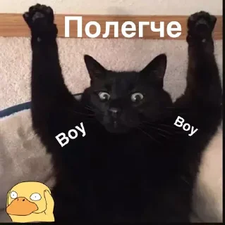 😅