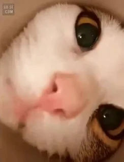 😕