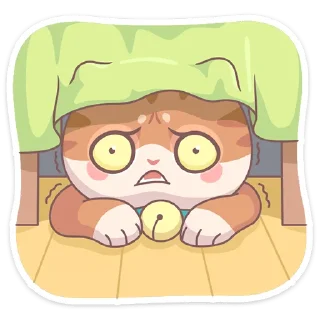 😳