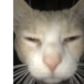 😑