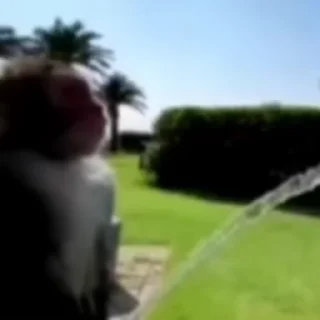 😅
