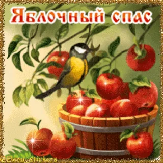 🍎