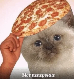 👋