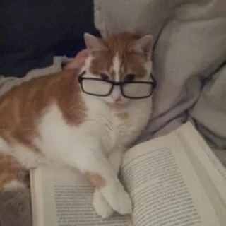 📚