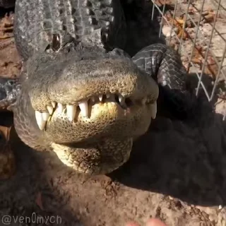 🥰