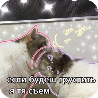 🐶