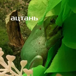 ☹️