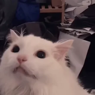 😫