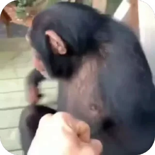 ✋