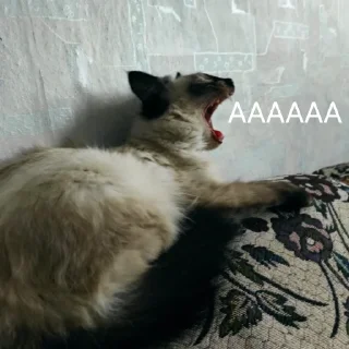 😣