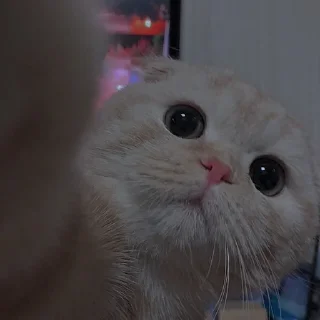 💗