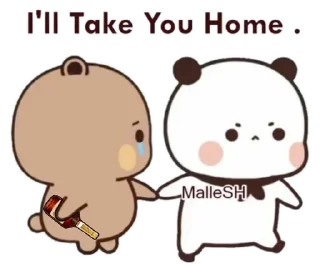 🐻