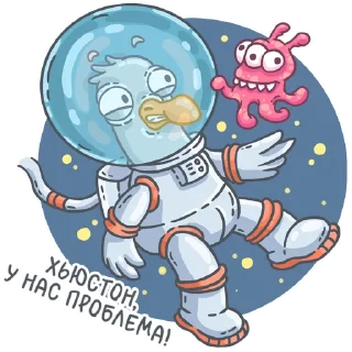 🚀