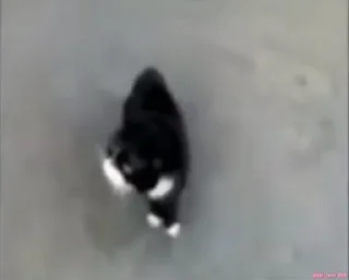 😡