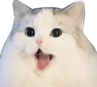 😀