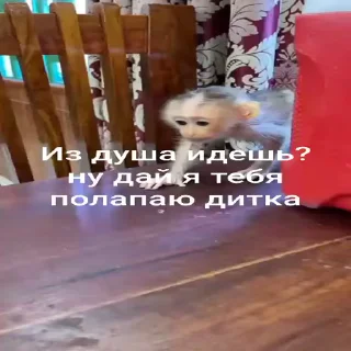 🐵