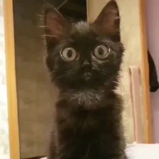😳