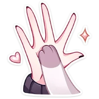 ✨