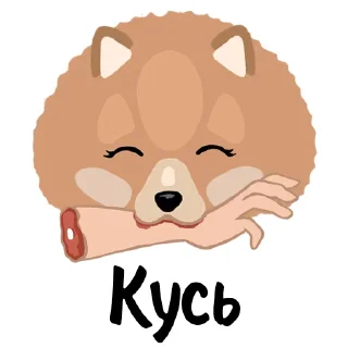 🐶