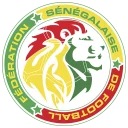 🇸🇳