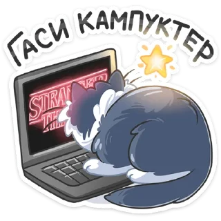 💻