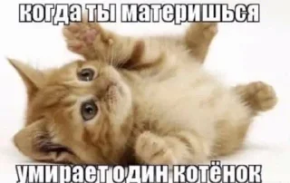 😇