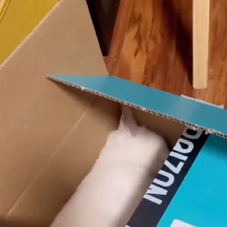 🤩