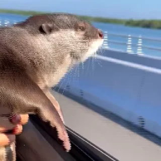 🚗