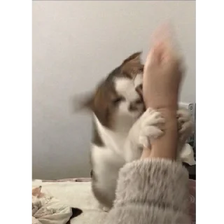 😠
