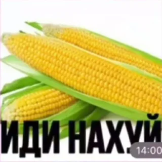 😎