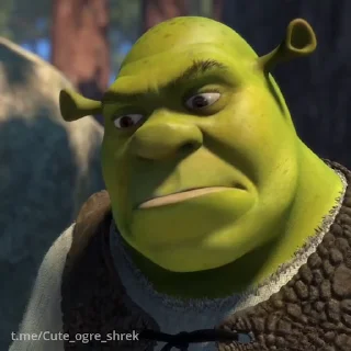 🤨
