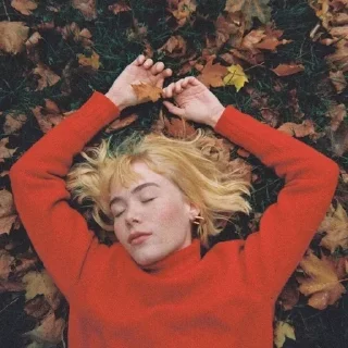 🍂